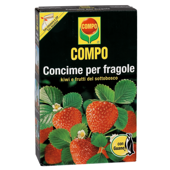 Compo Fragole da 1 Kg