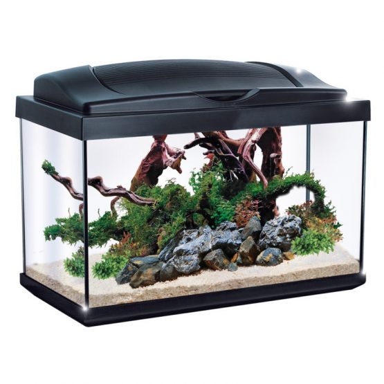 Acquario NEWHOBBY 30 Nero