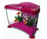 Acquario Goldfish Askoll 6,7 Lt Rosa
