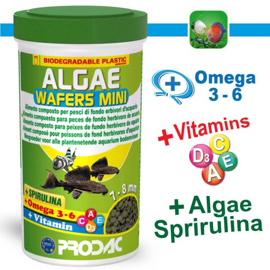 Algae Wafers Mini