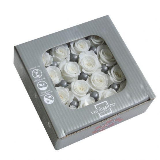 Rosa Stabilizzata Bianco cm 2,5 Confezione 16 pz