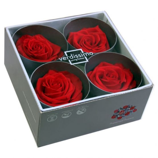 Rosa Stabilizzata PREMIUM Rossa Diam. 8 cm  Confezione 4 pz