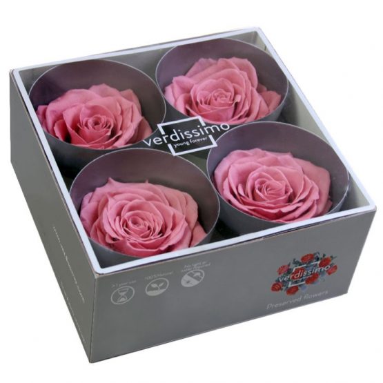 Rosa Stabilizzata PREMIUM Rosa antico Diam. 8 cm  Confezione 4 pz