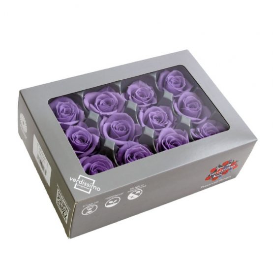 Rosa MINI Stabilizzata - immagine 3